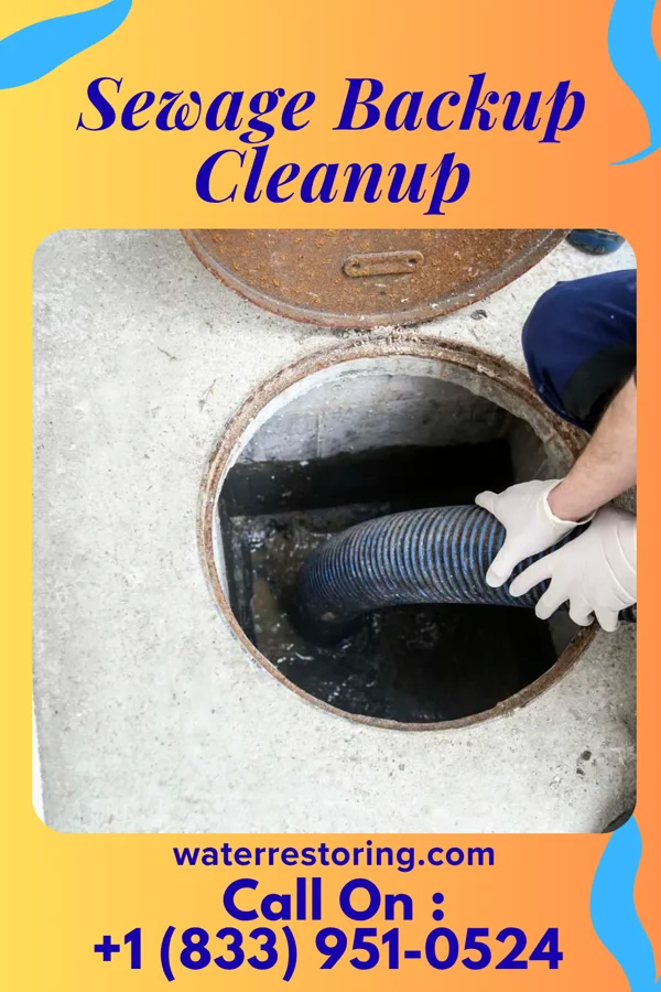 Sewage Backup Cleanup in Lamar Heights, MO